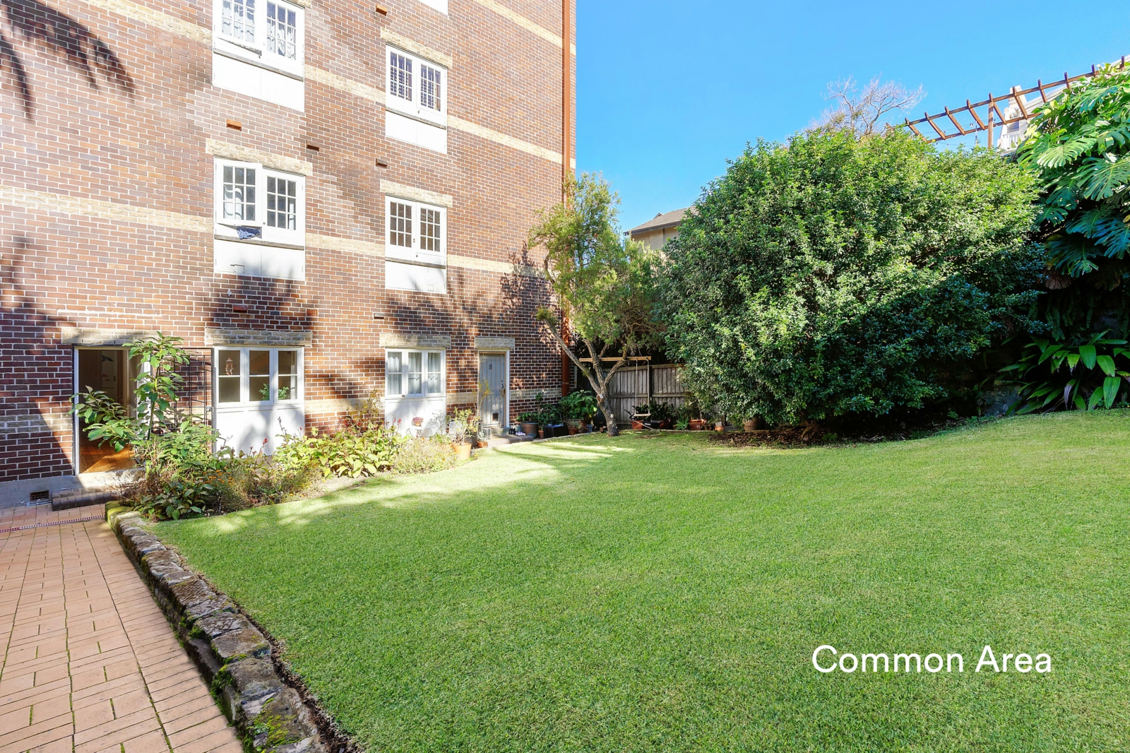 Backyard-common area