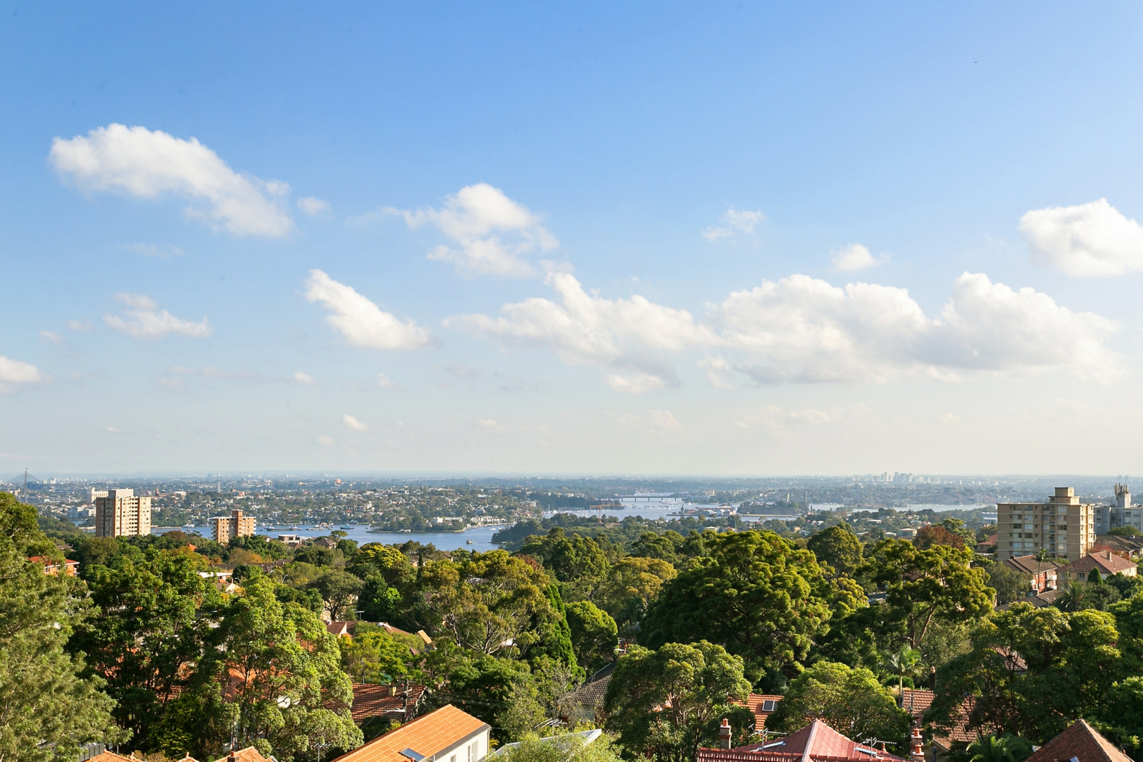 67/236 Pacific Highway, CROWS NEST
