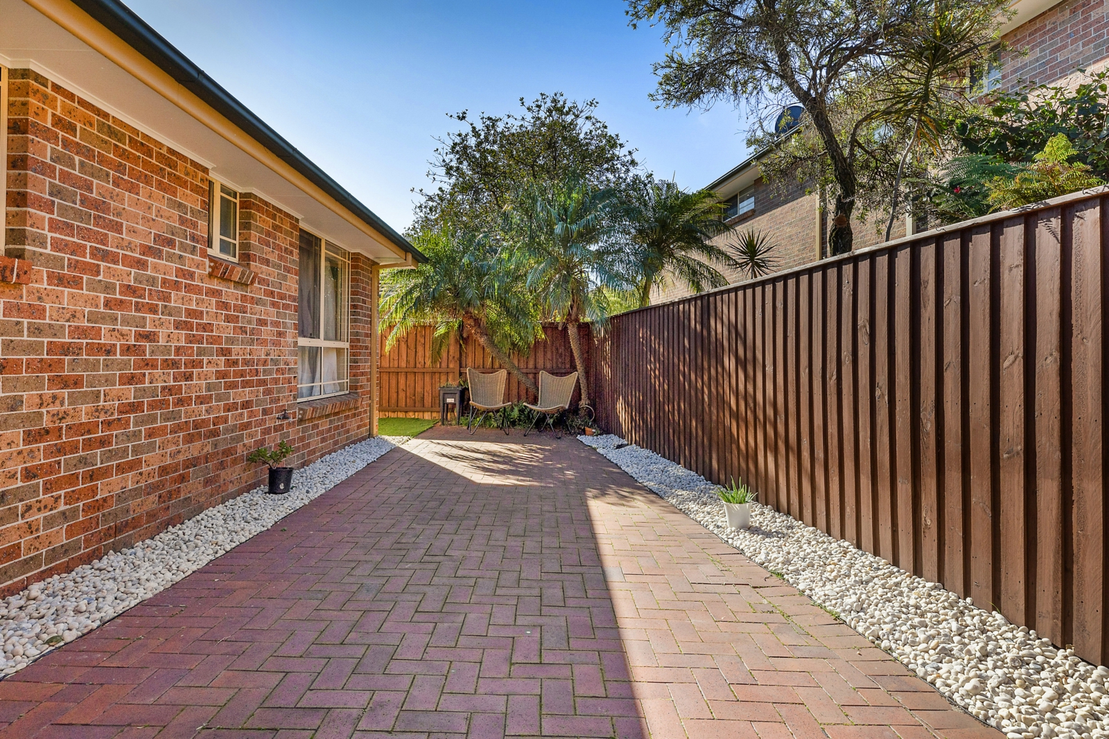Backyard 2