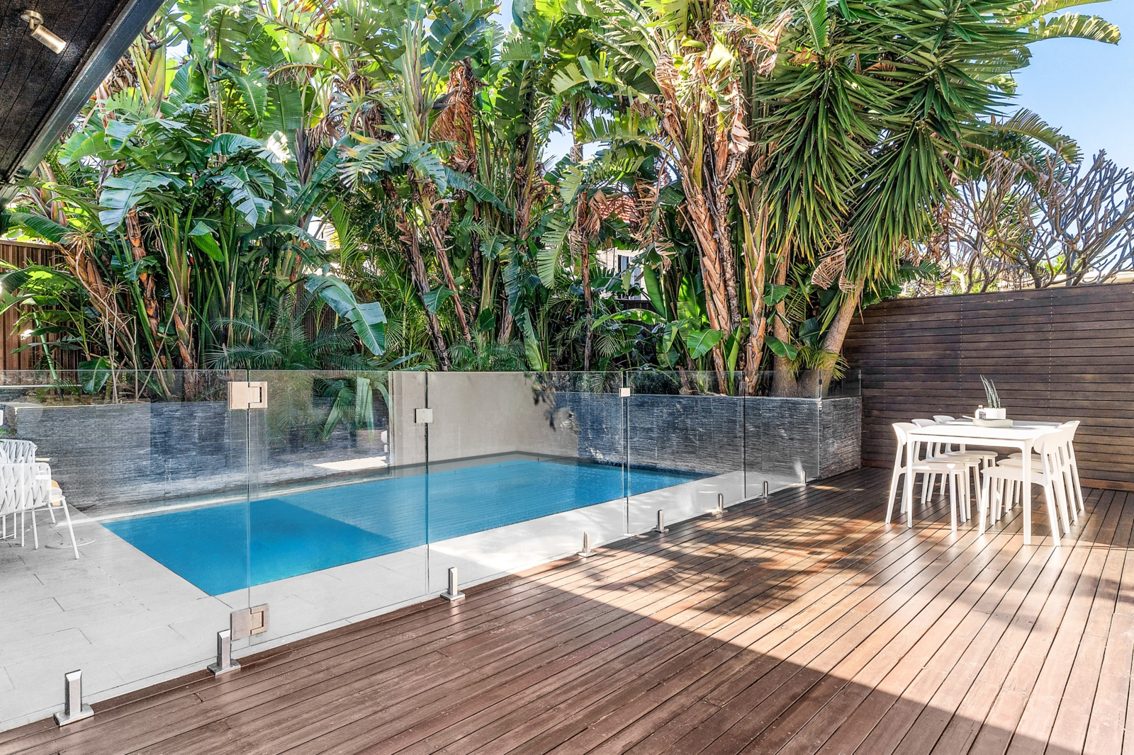 Backyard_v3