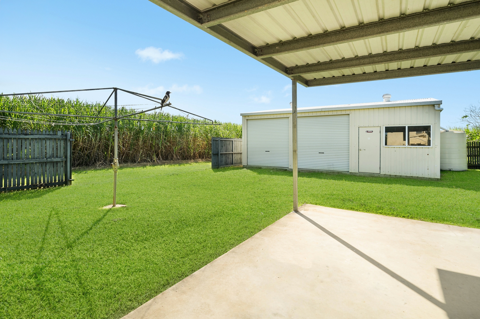 Yard