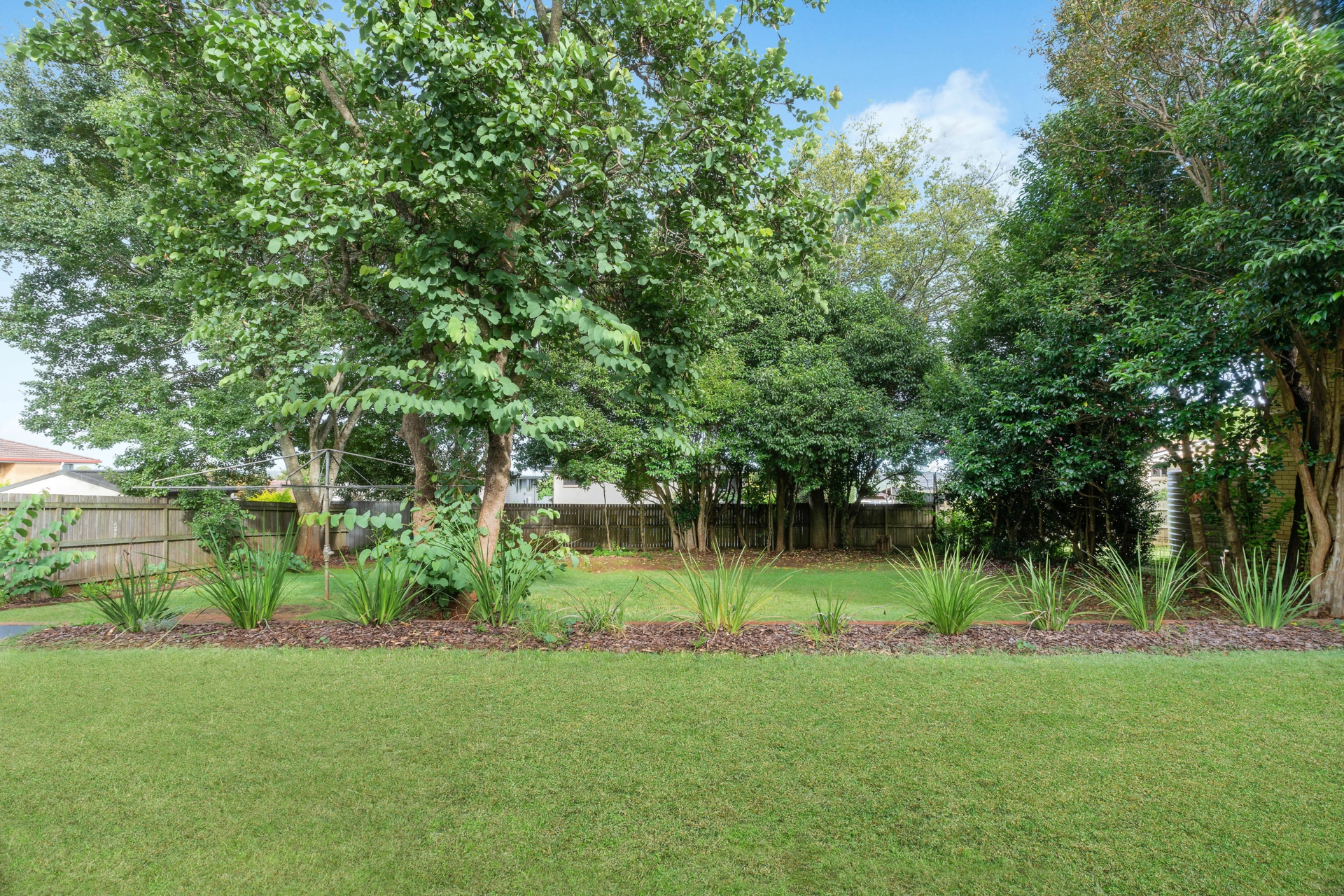 Backyard 1