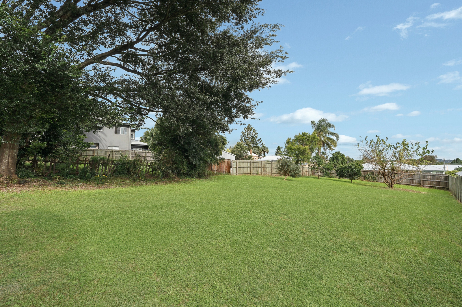 backyard.jpg