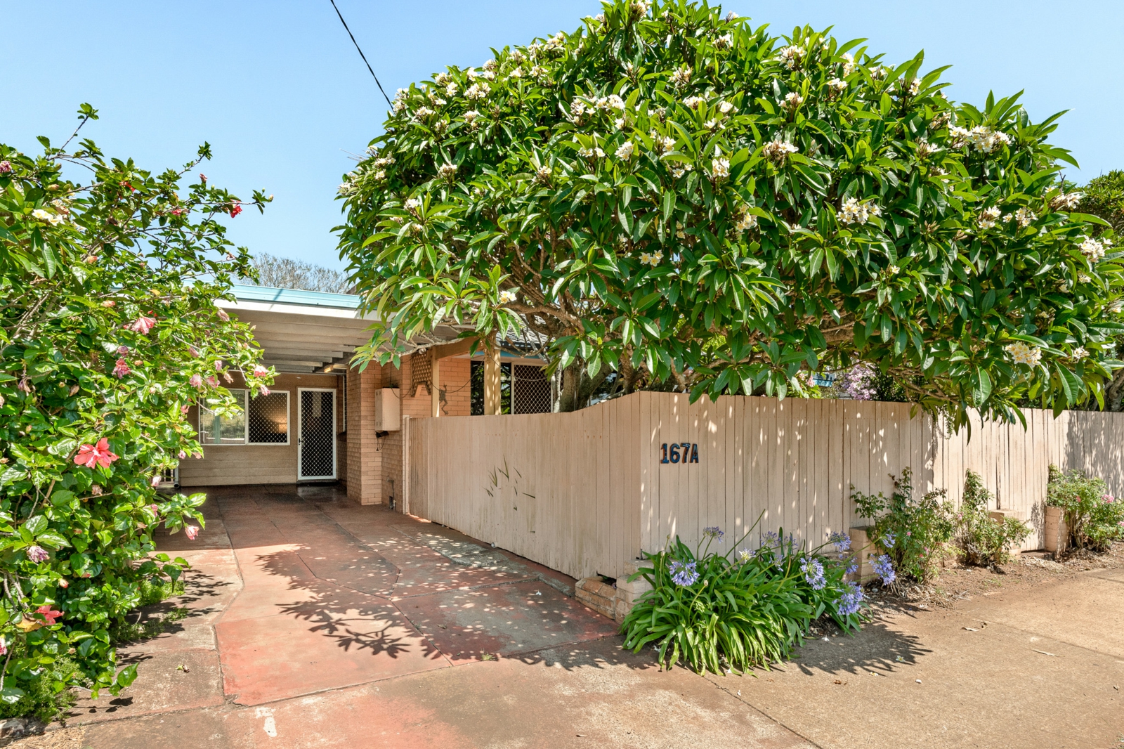167A Holberton Street,Newtown