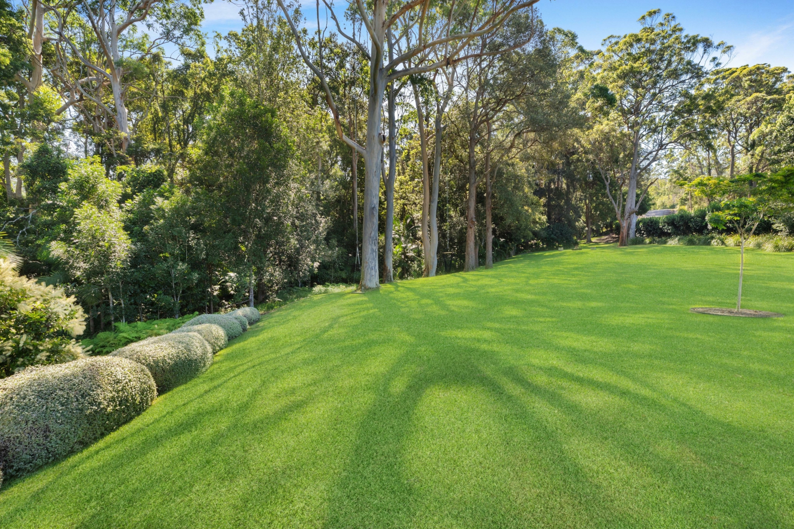 Backyard 2_v2