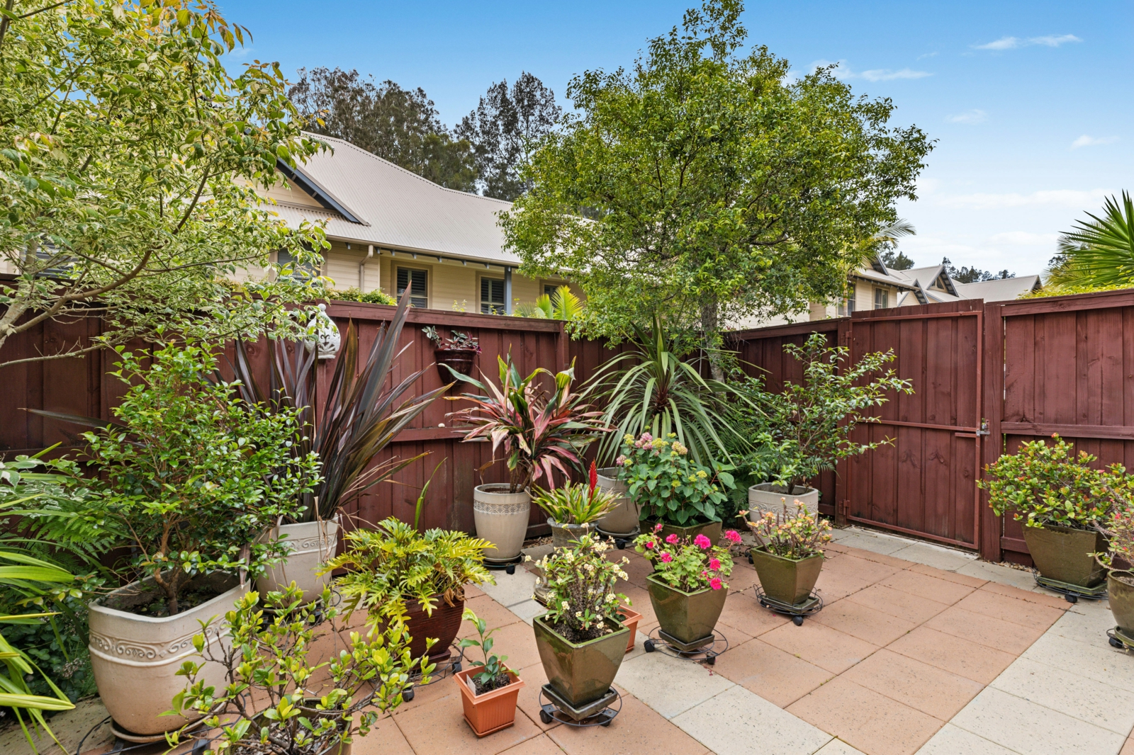 Backyard_v2