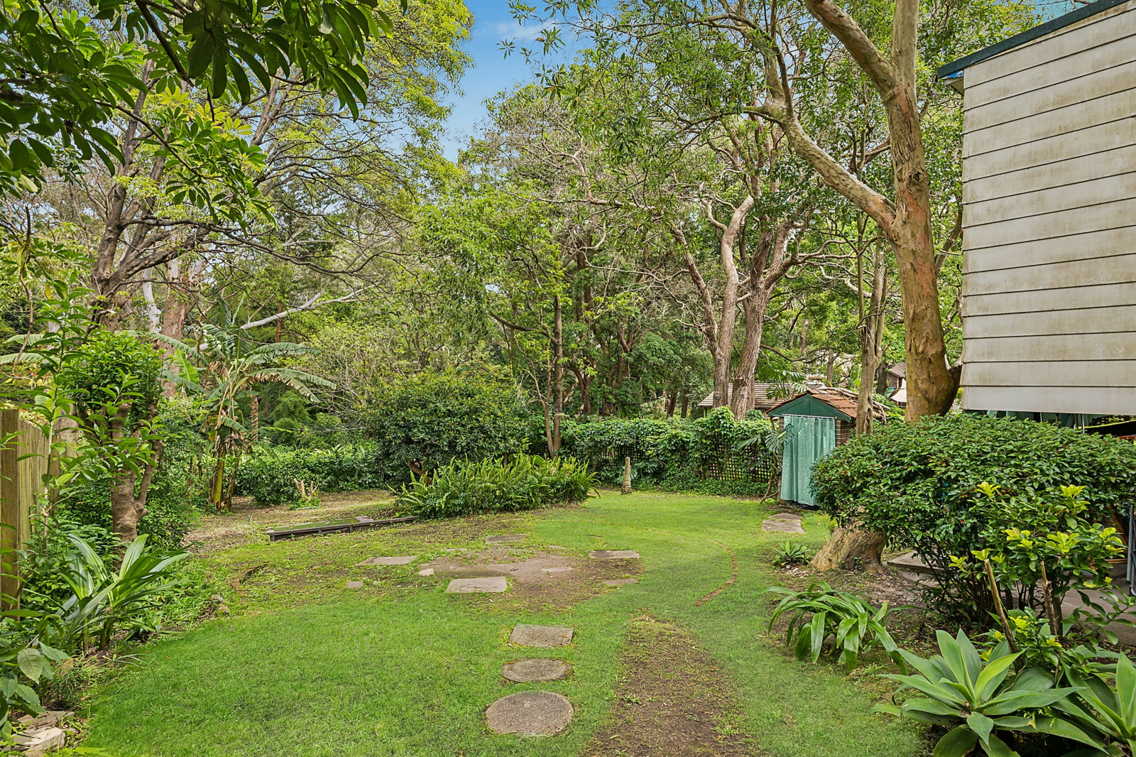 backyard 1_v2