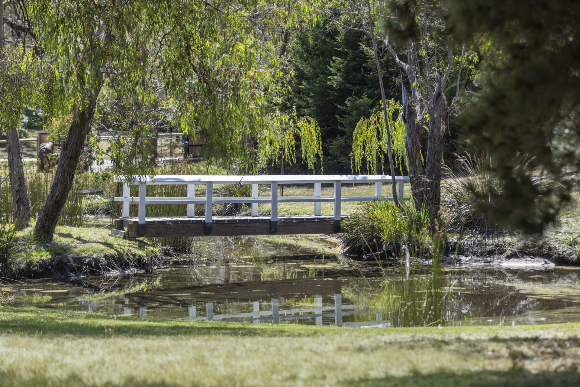 15A Gum Hill Drive, LANGWARRIN