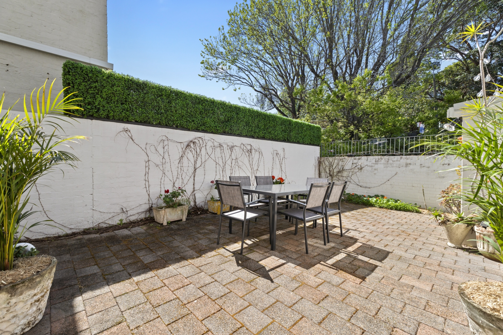 1/50 William Street, DOUBLE BAY
