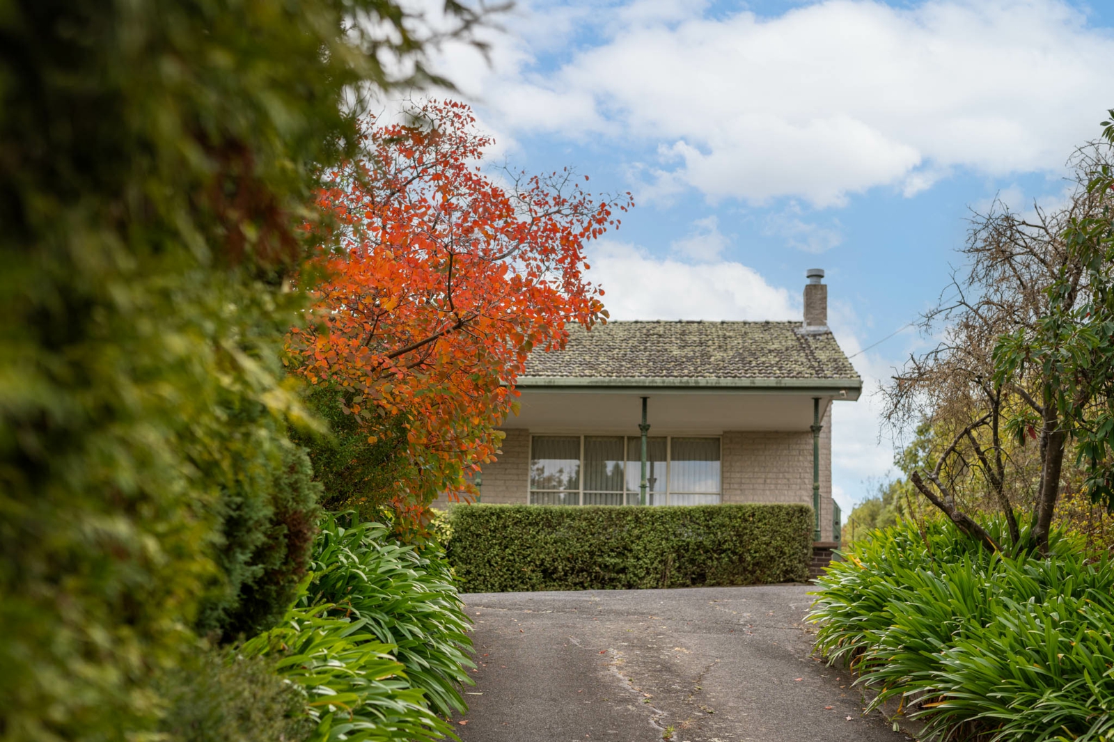 17 oakwood dr-4.jpg
