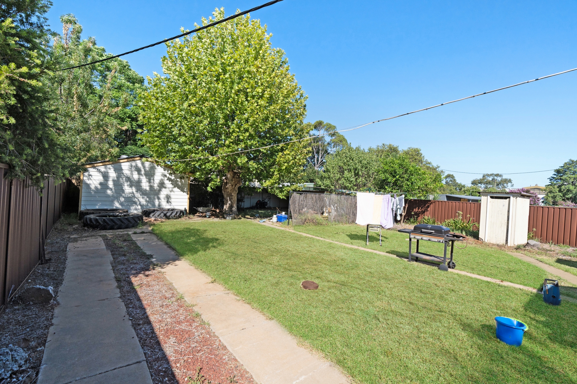 Backyard