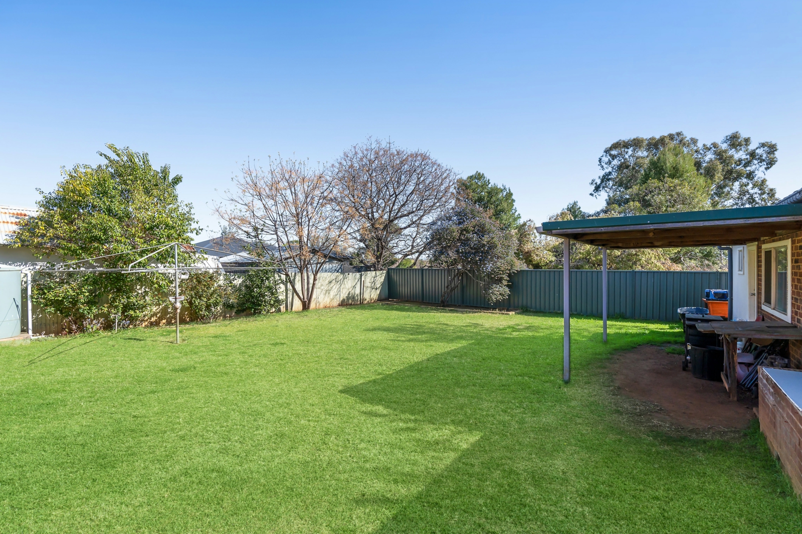 Backyard 1