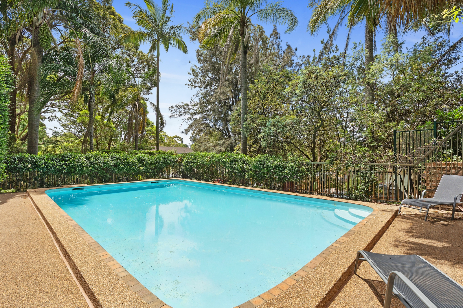 52_2 Francis Rd, Artarmon_Pool.jpg