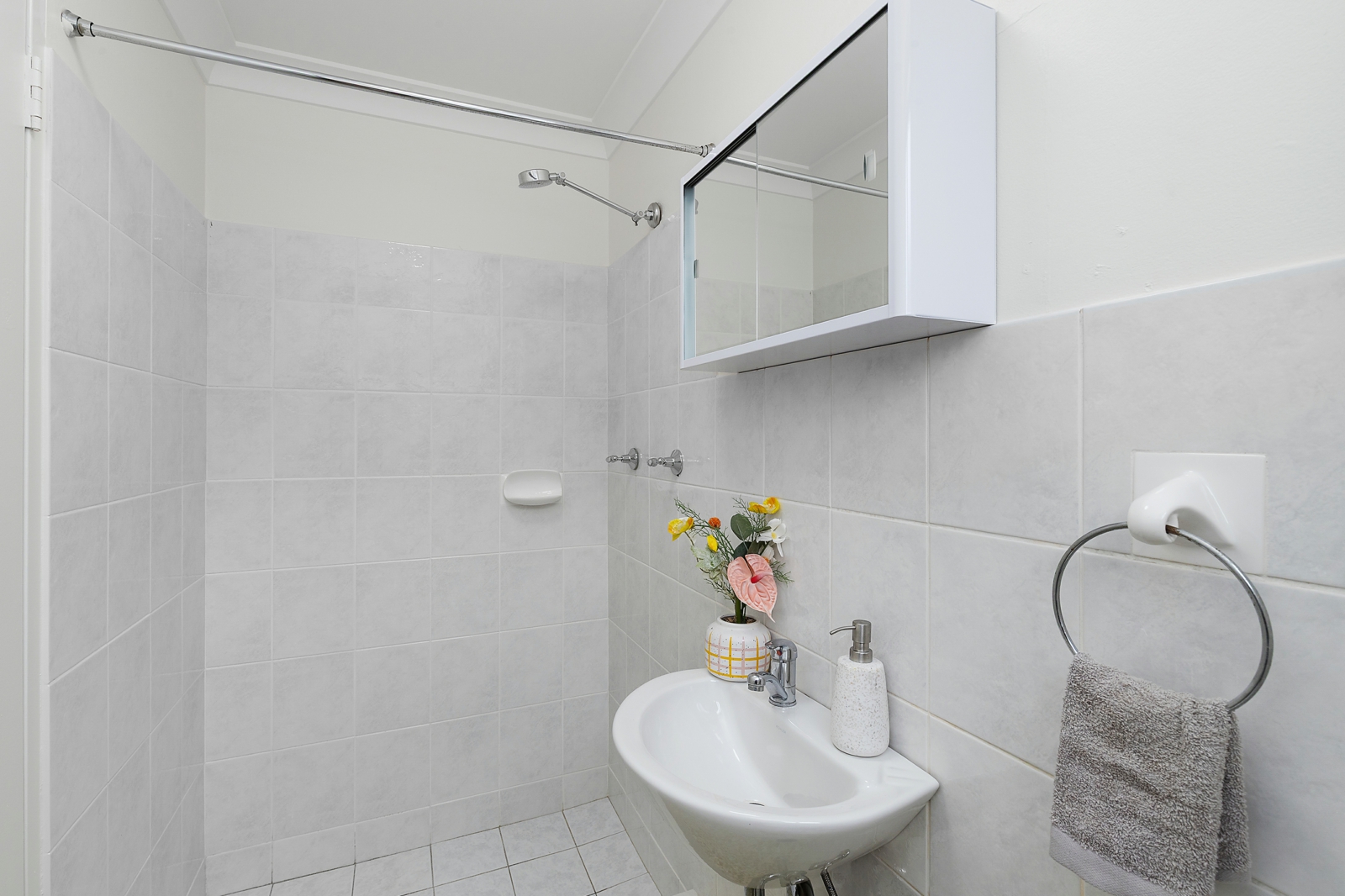 4_584 Blaxland Rd, Eastwood_Bathroom.jpg