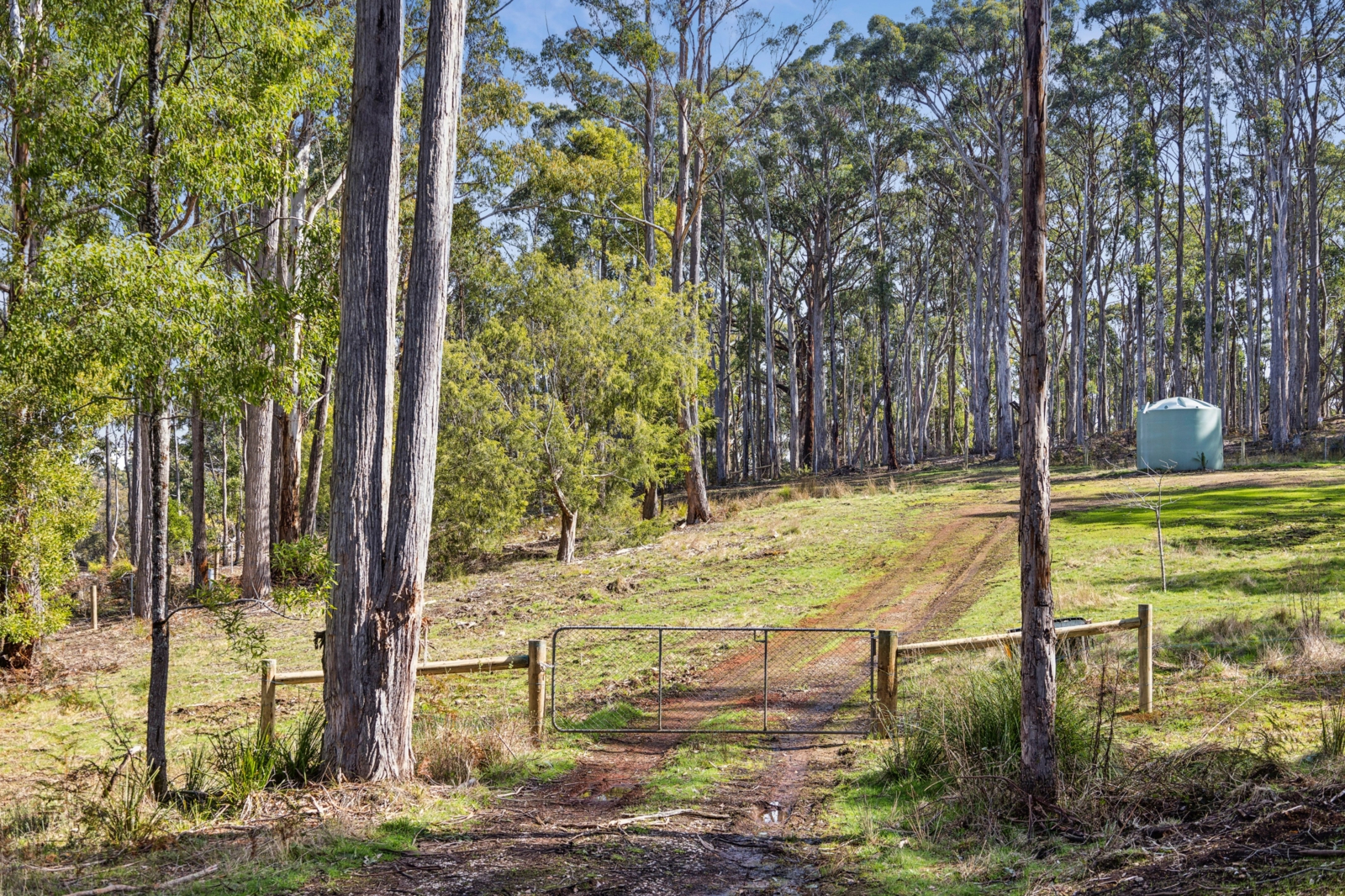 75 Back Settlement Road,Korweinguboora