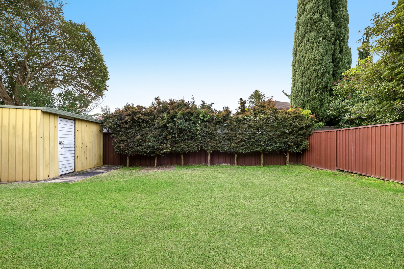 Backyard