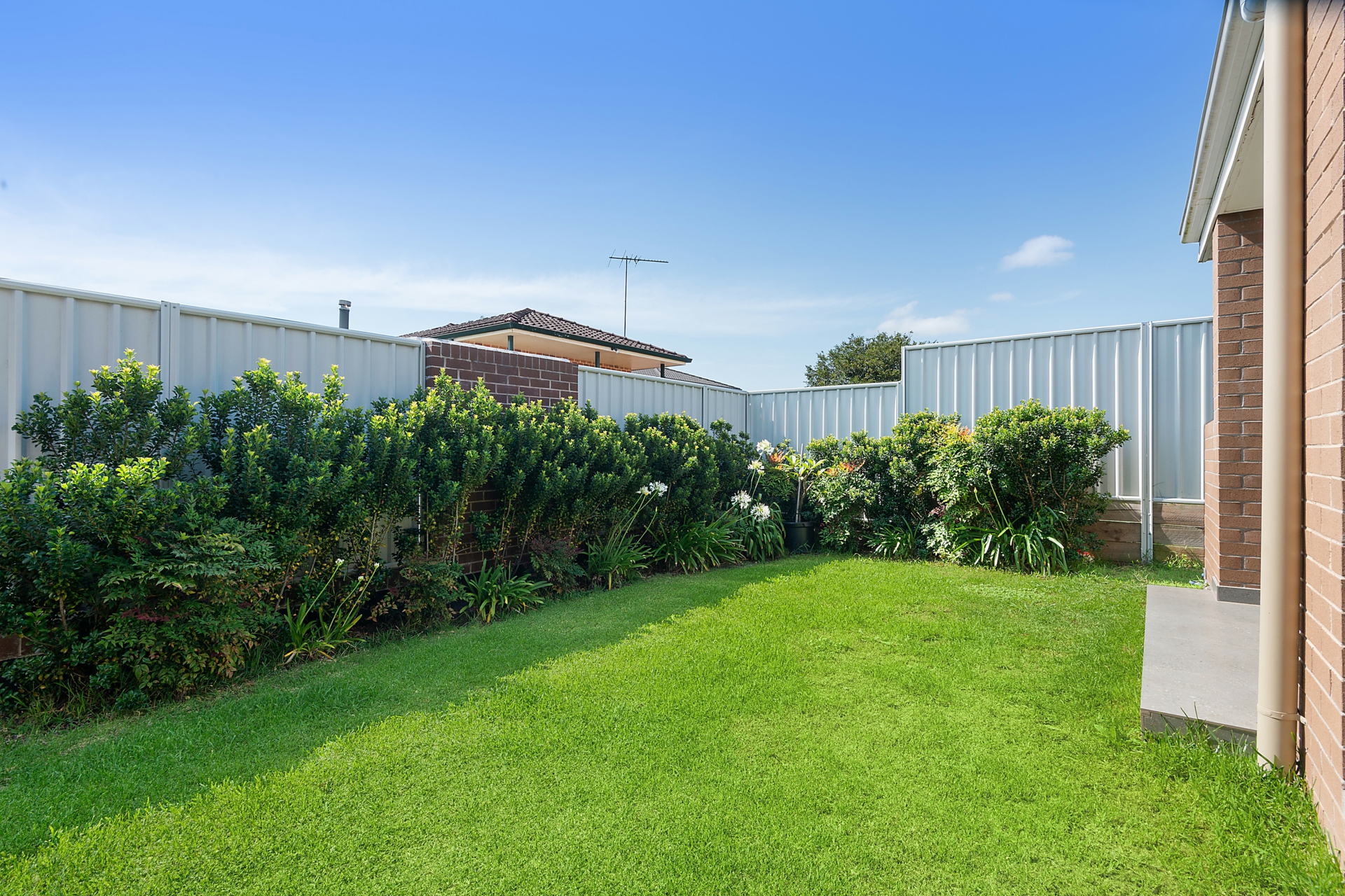 Yard