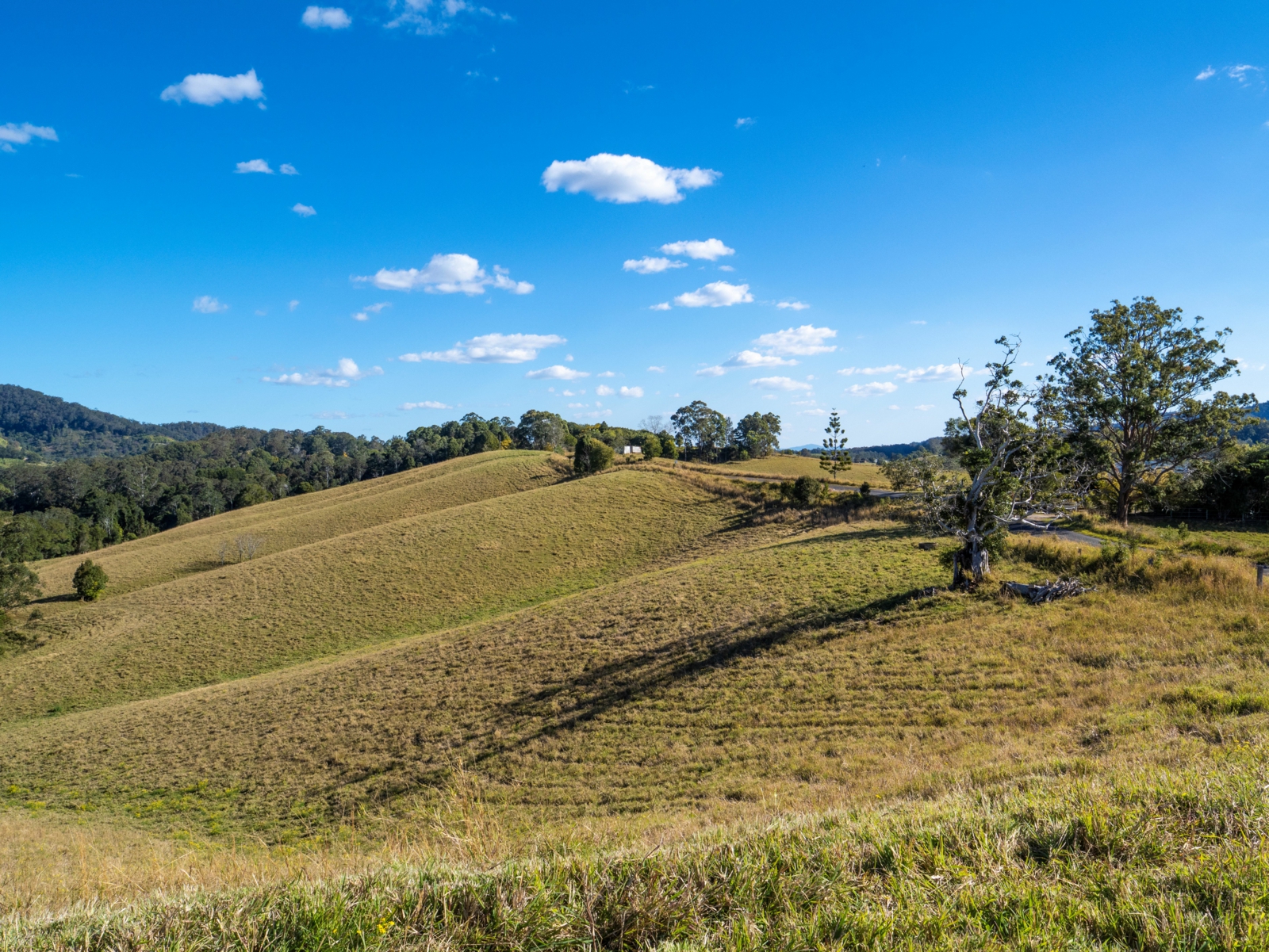 Nambucca Valley McGrath