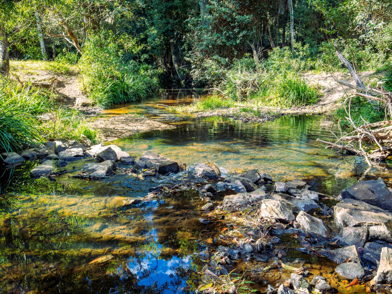 Nambucca Valley McGrath