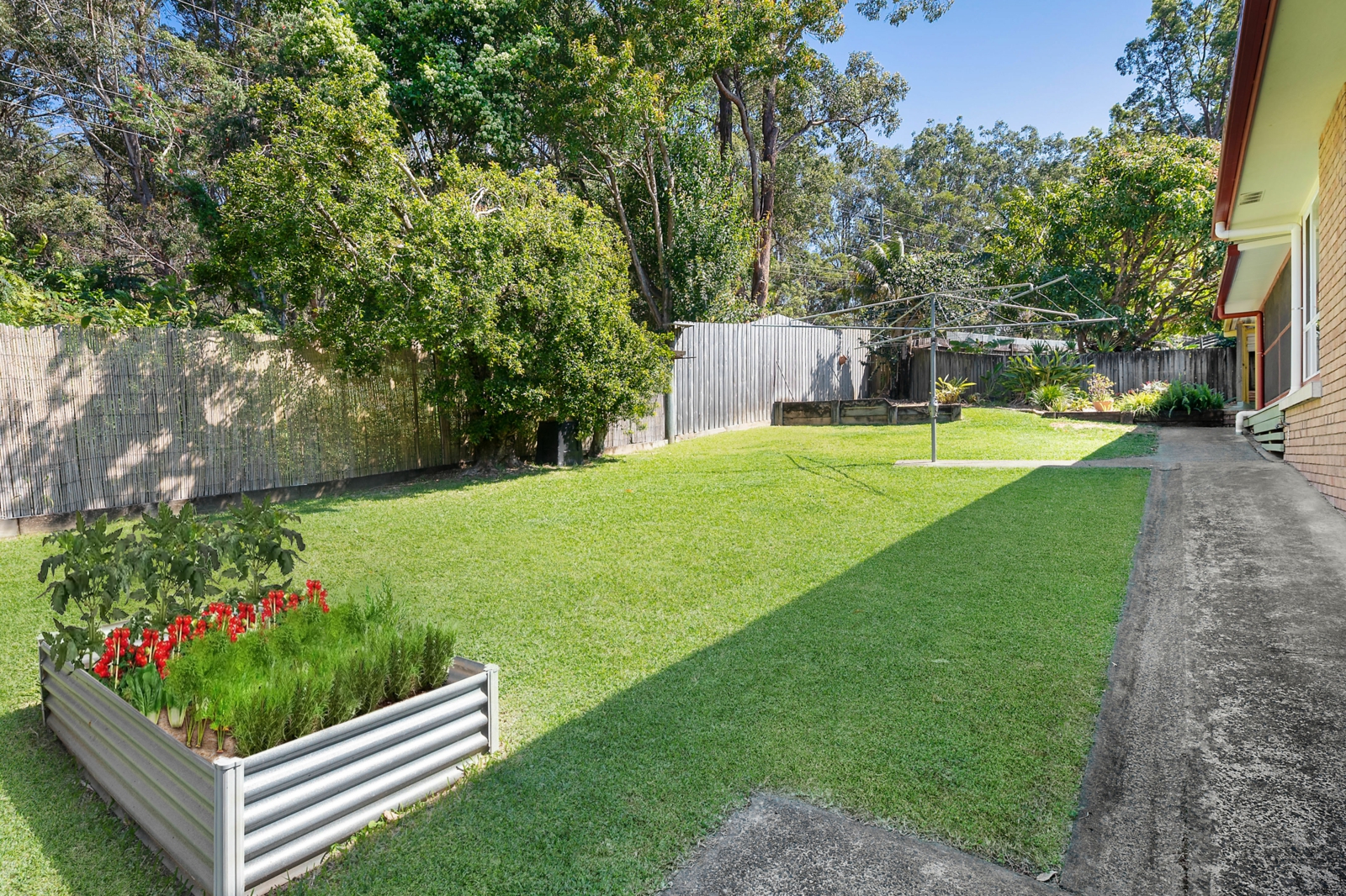 Rear of property_v2