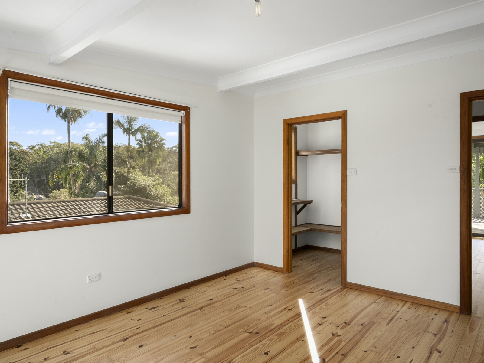 Blackbutt 3.jpg