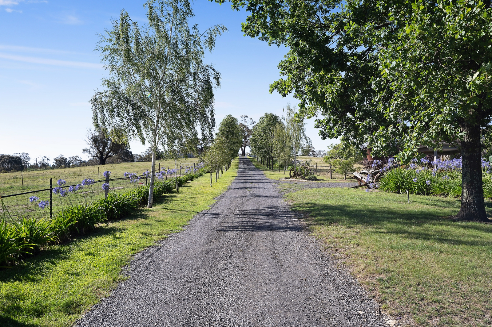 Driveway