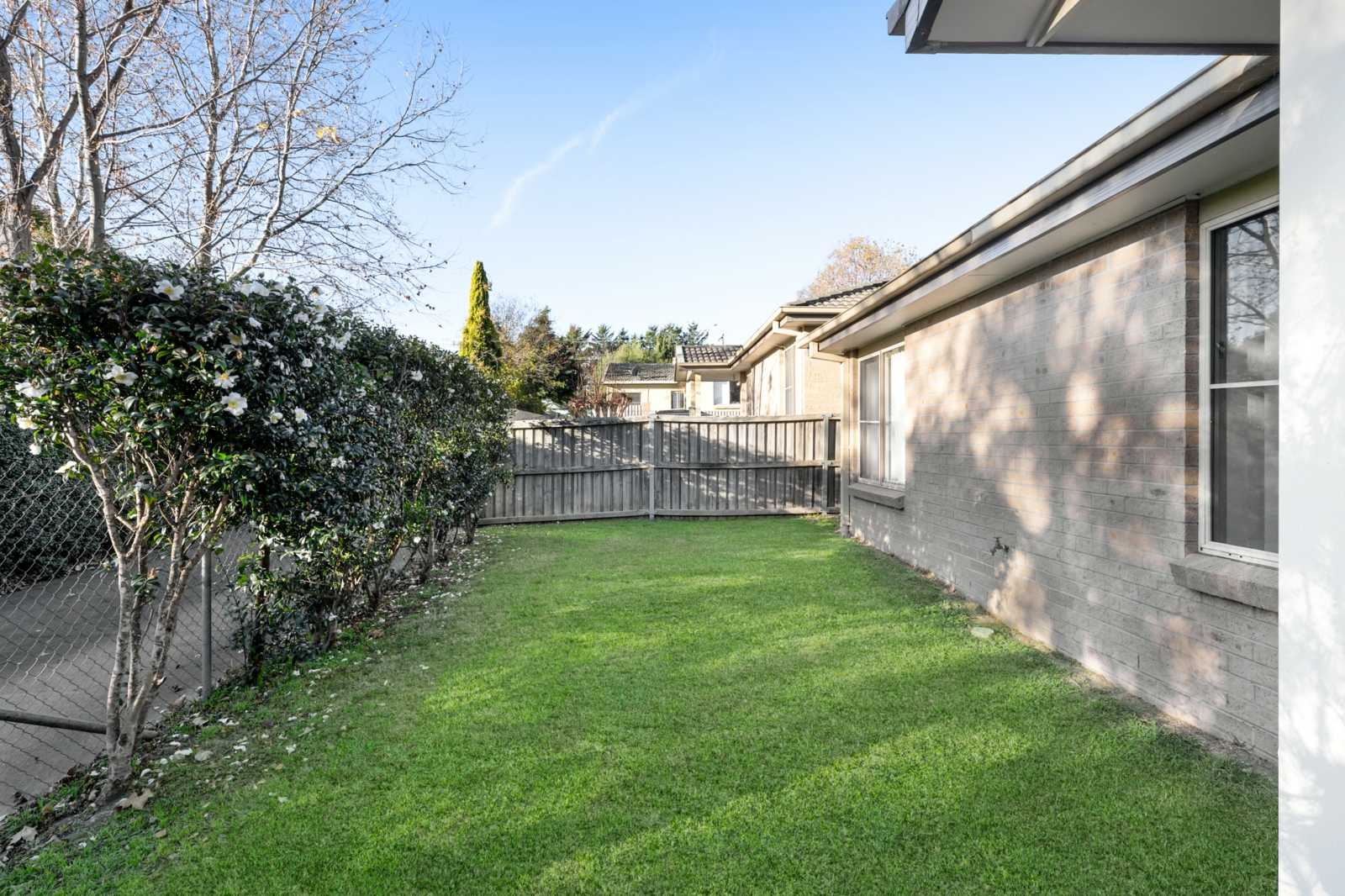 Front Yard