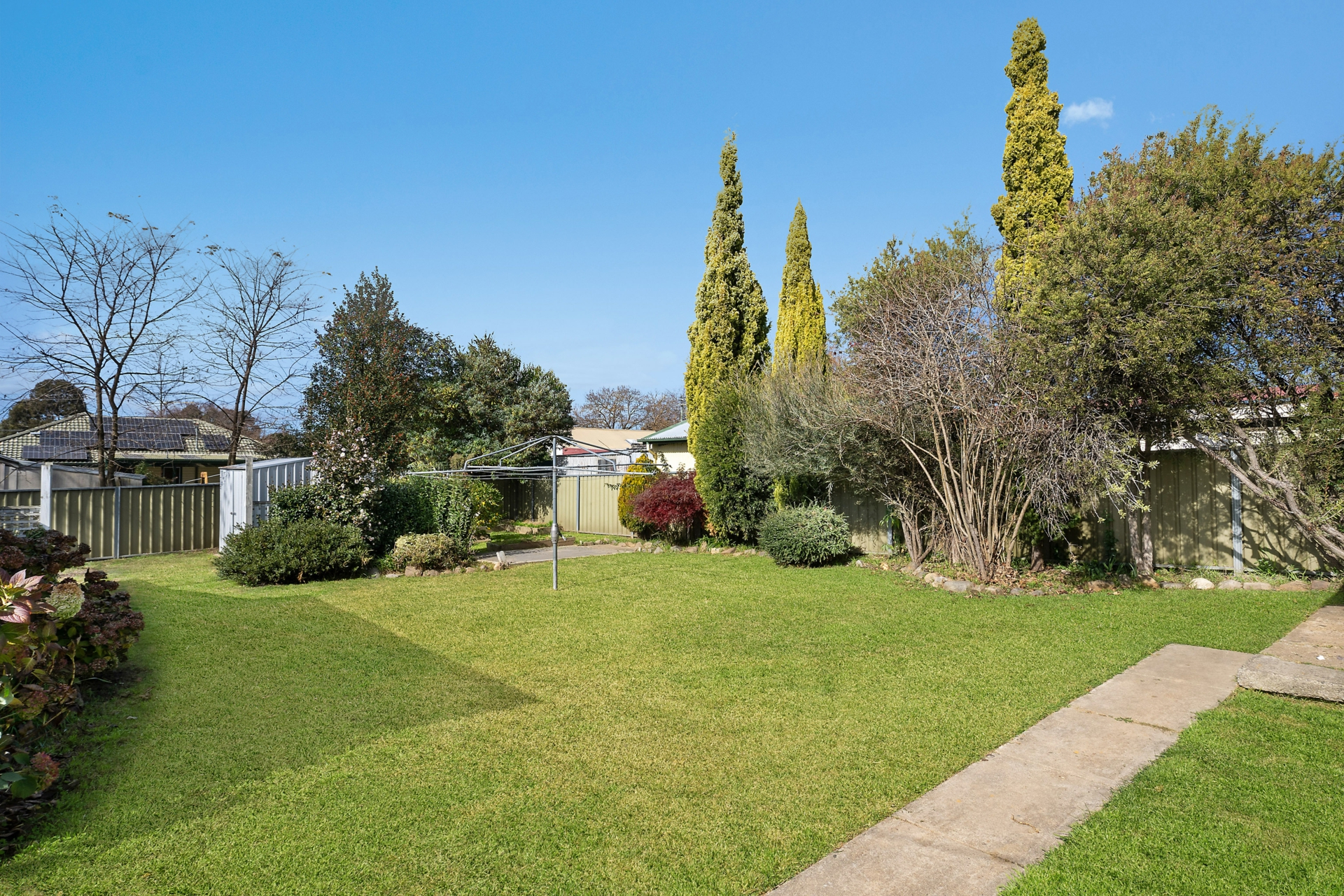 Backyard 2