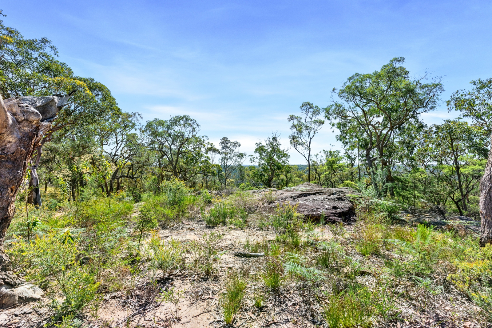 679 Cliftonville Road Lower Portland-4.j