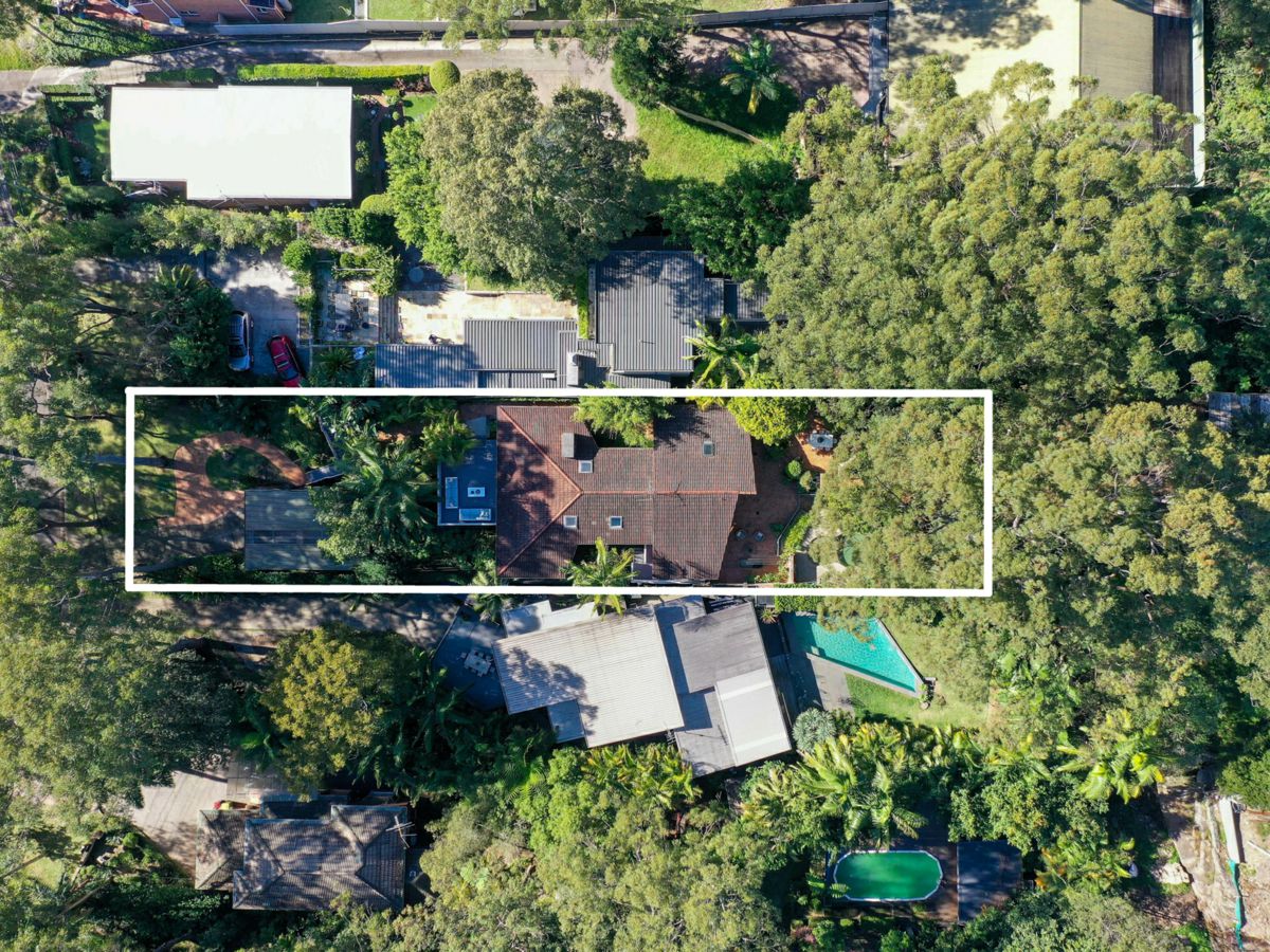 Birds Eye_a