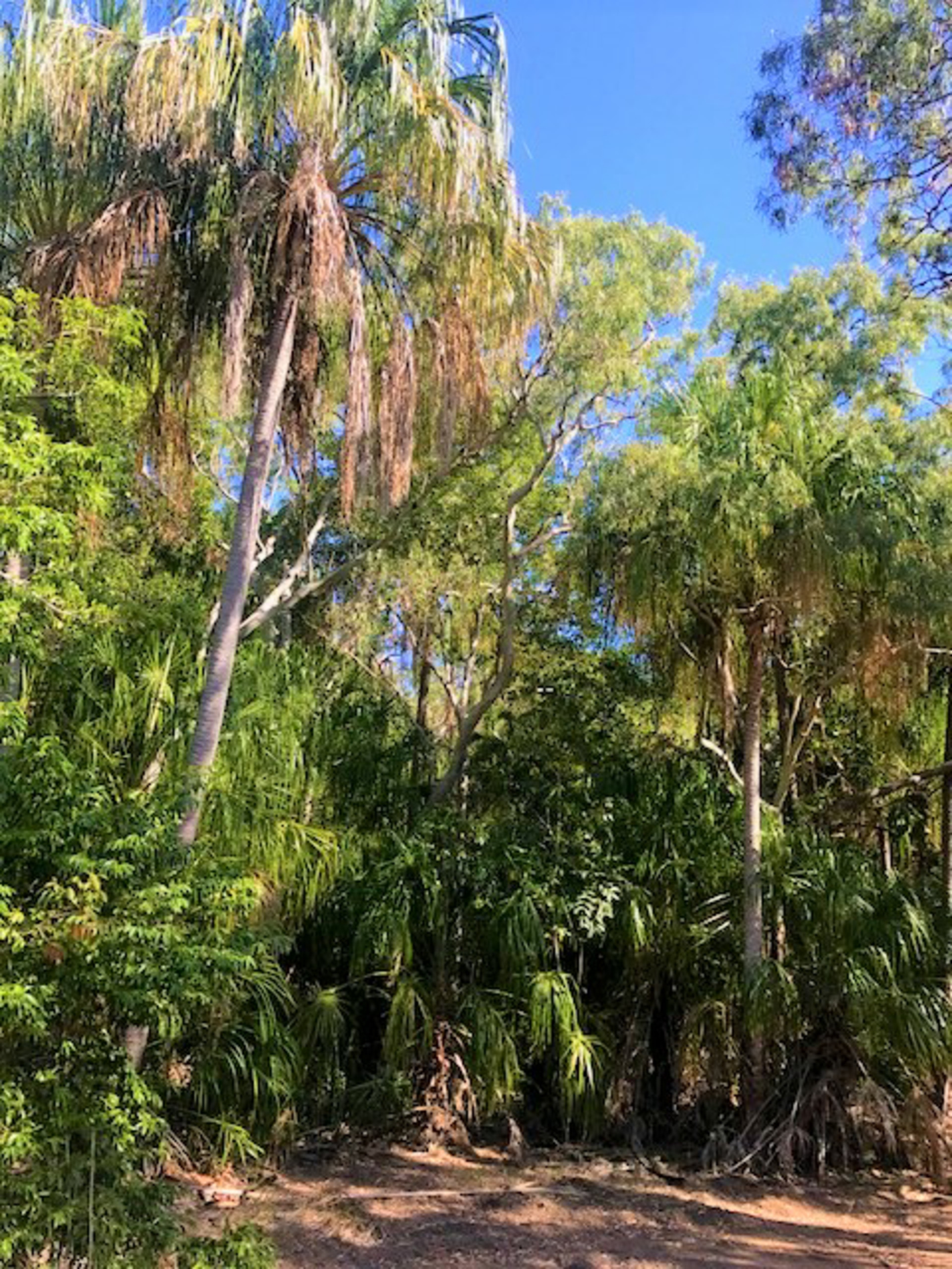 9 Lady Musgrave Court, AGNES WATER