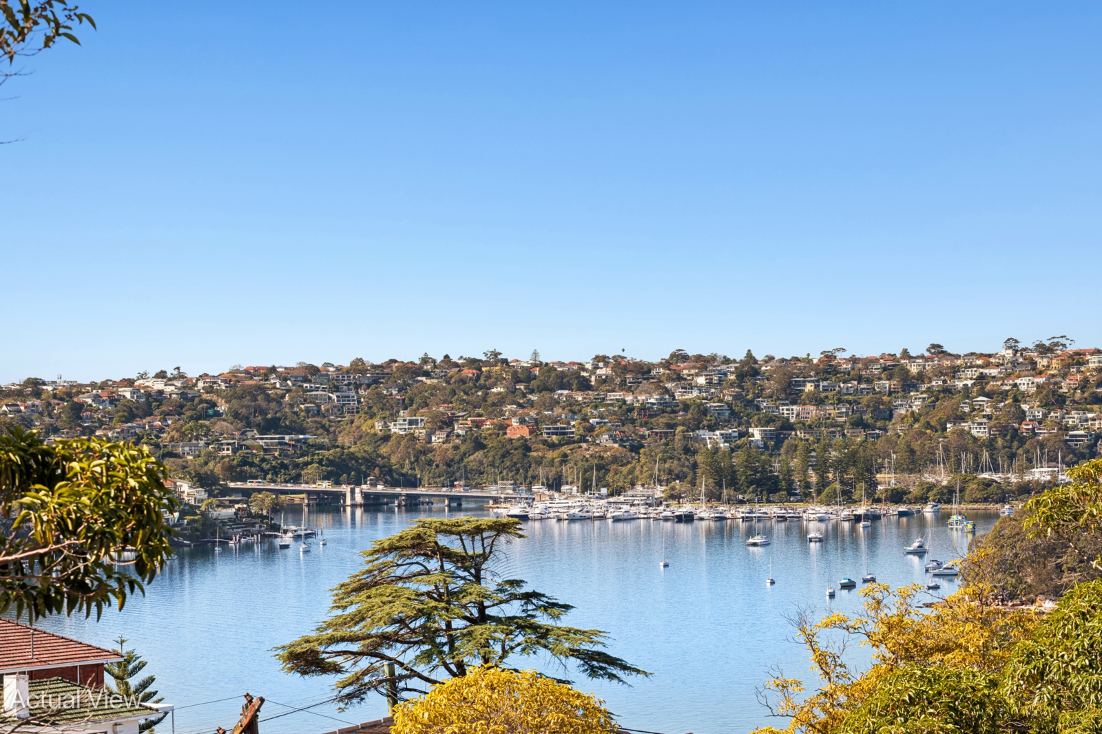 6 Miowera Rd, Northbridge-10-2.jpg