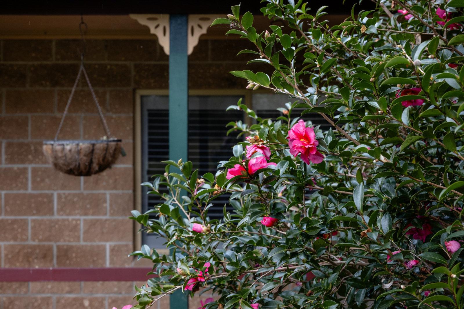 21 Kingfisher Drive,Wingham
