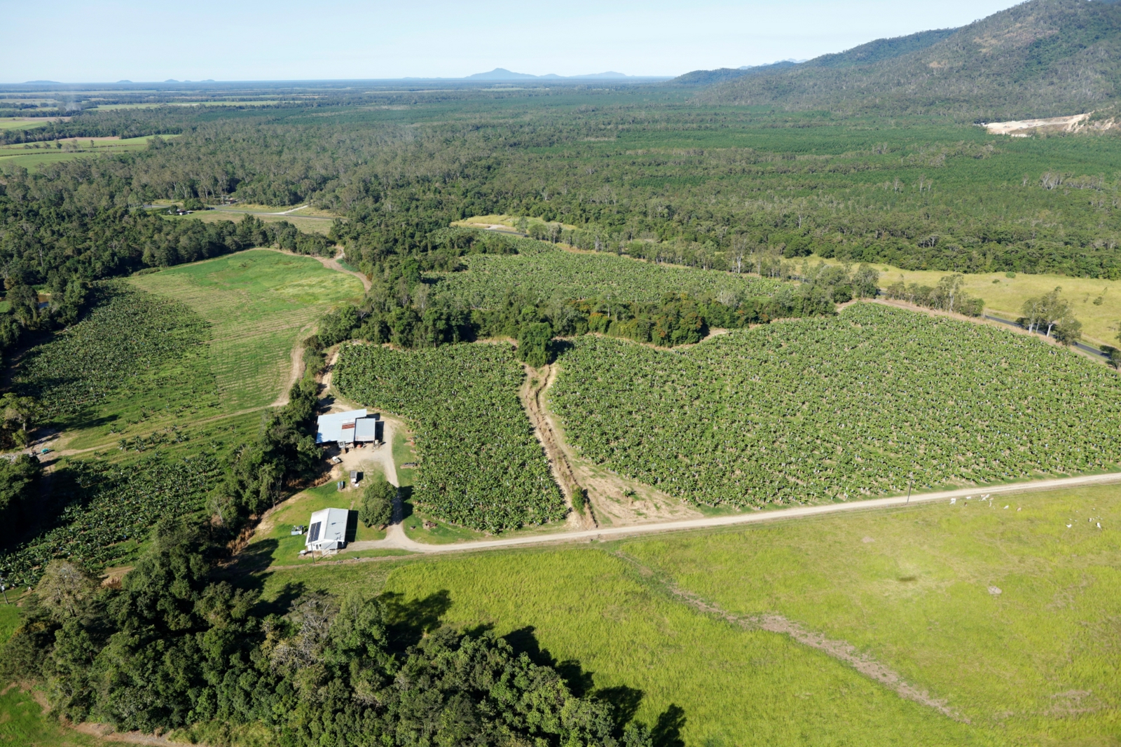164 Middle Murray Road,Murray Upper