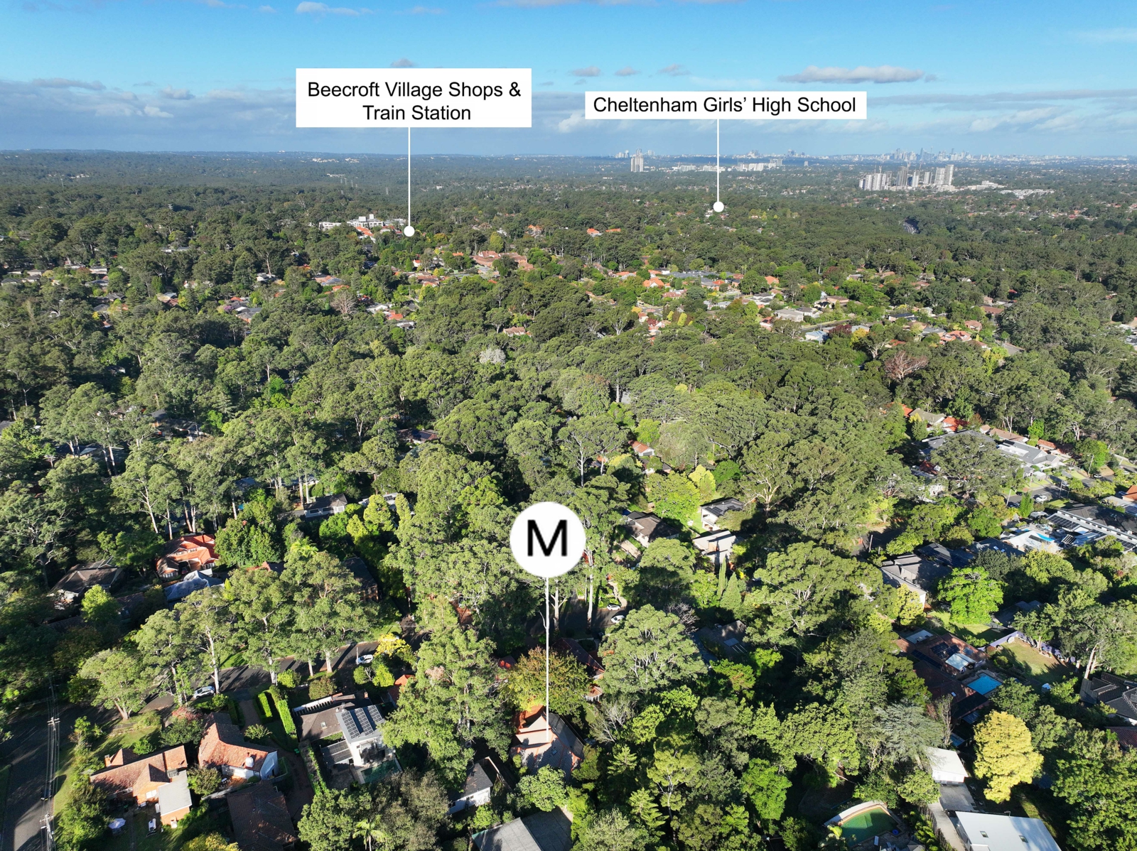 51A Cardinal Ave, Beecroft_Drone.jpg