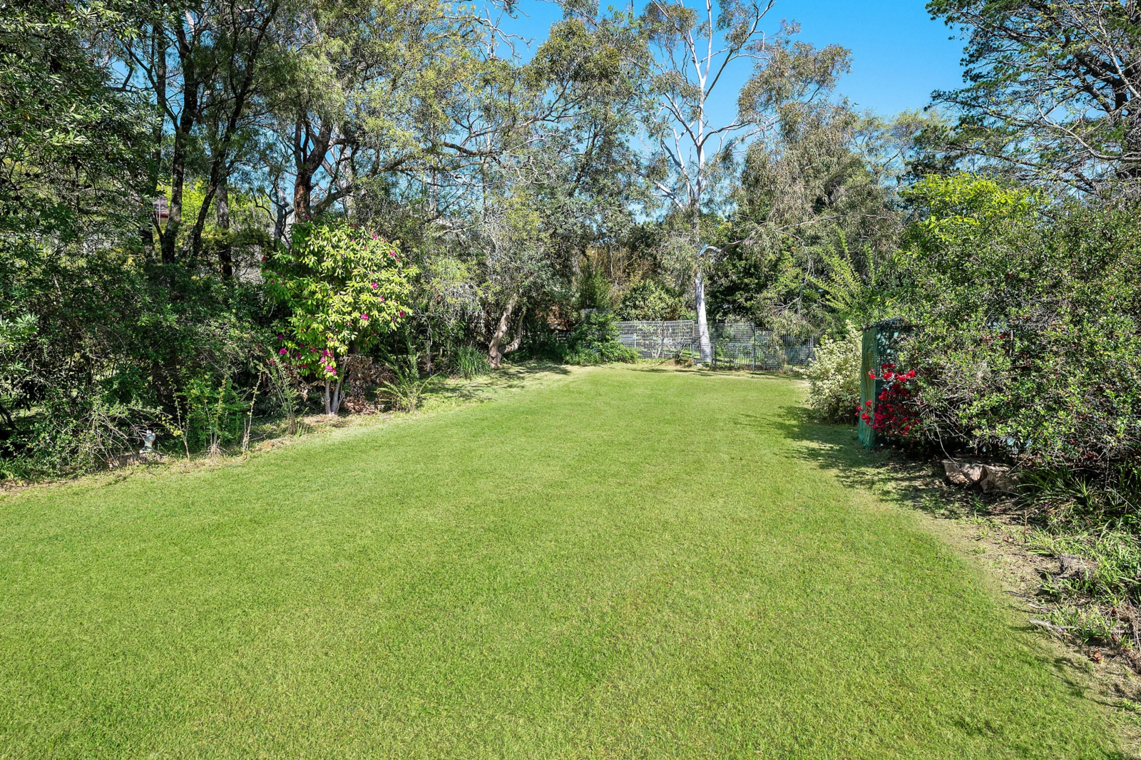 Lawn