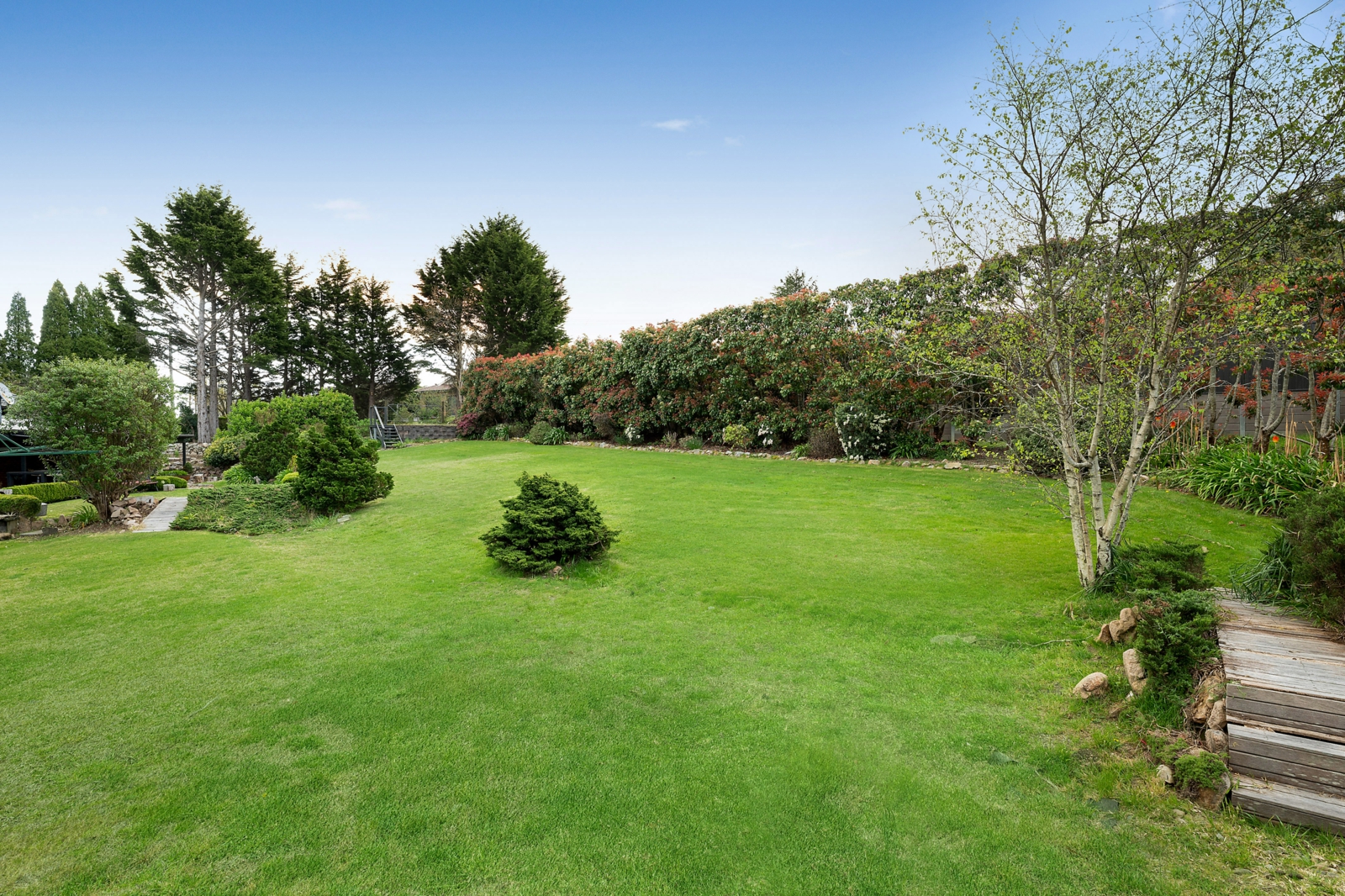 yard 3