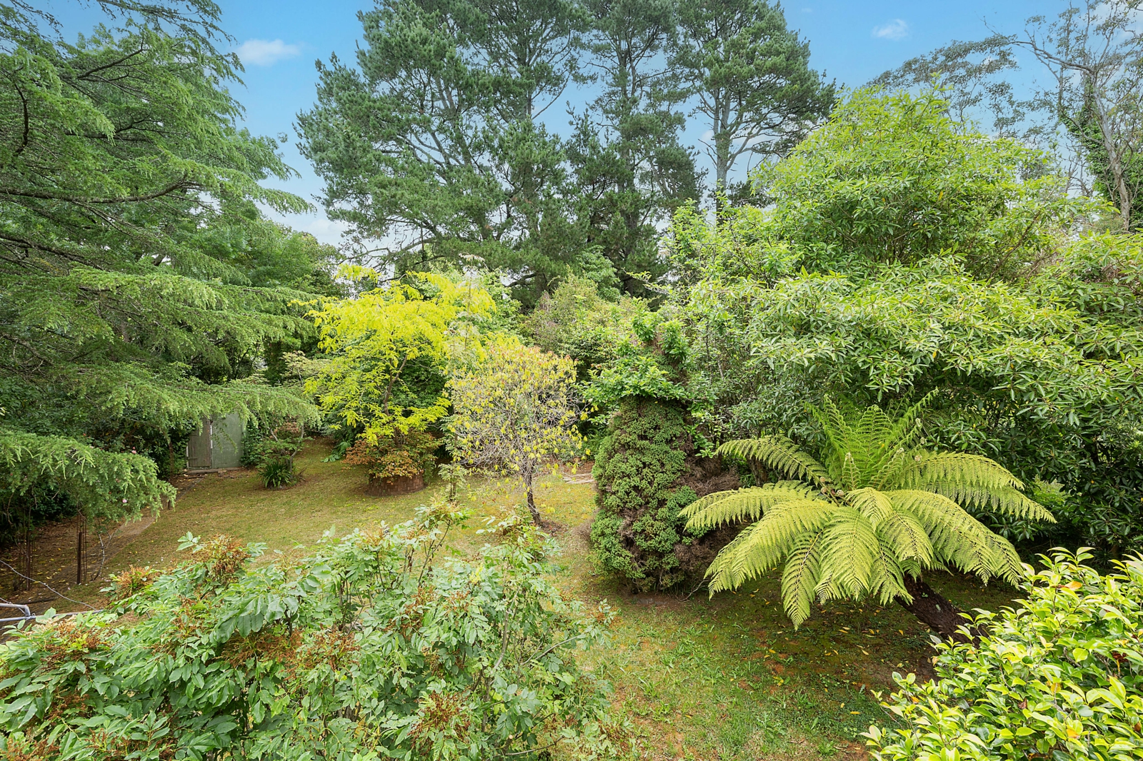 garden