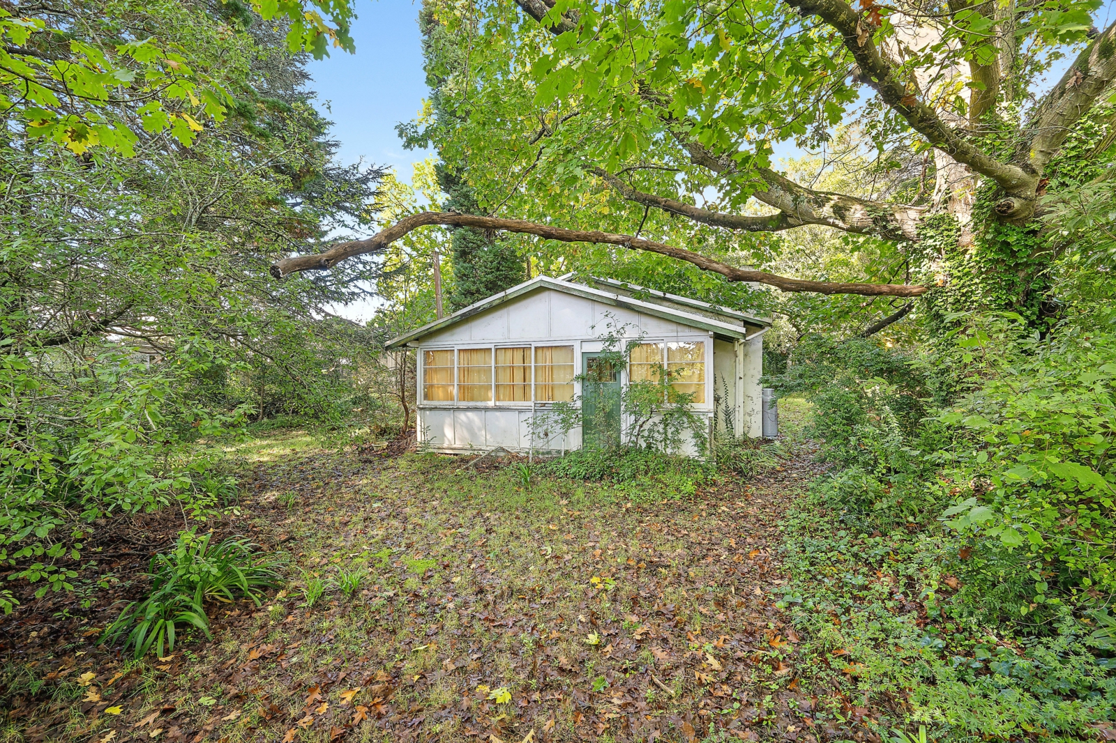 66 Waratah Road,Wentworth Falls