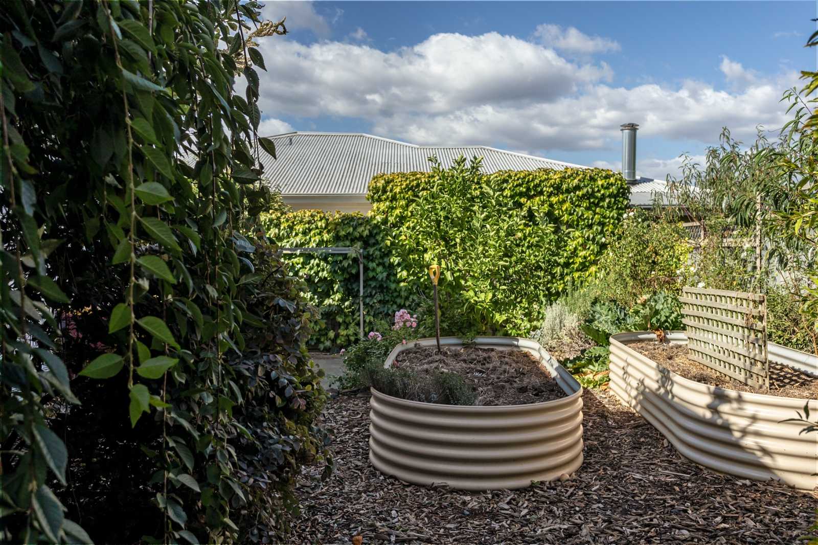 17-print-65 Campbell St, Newstead-21.jpg