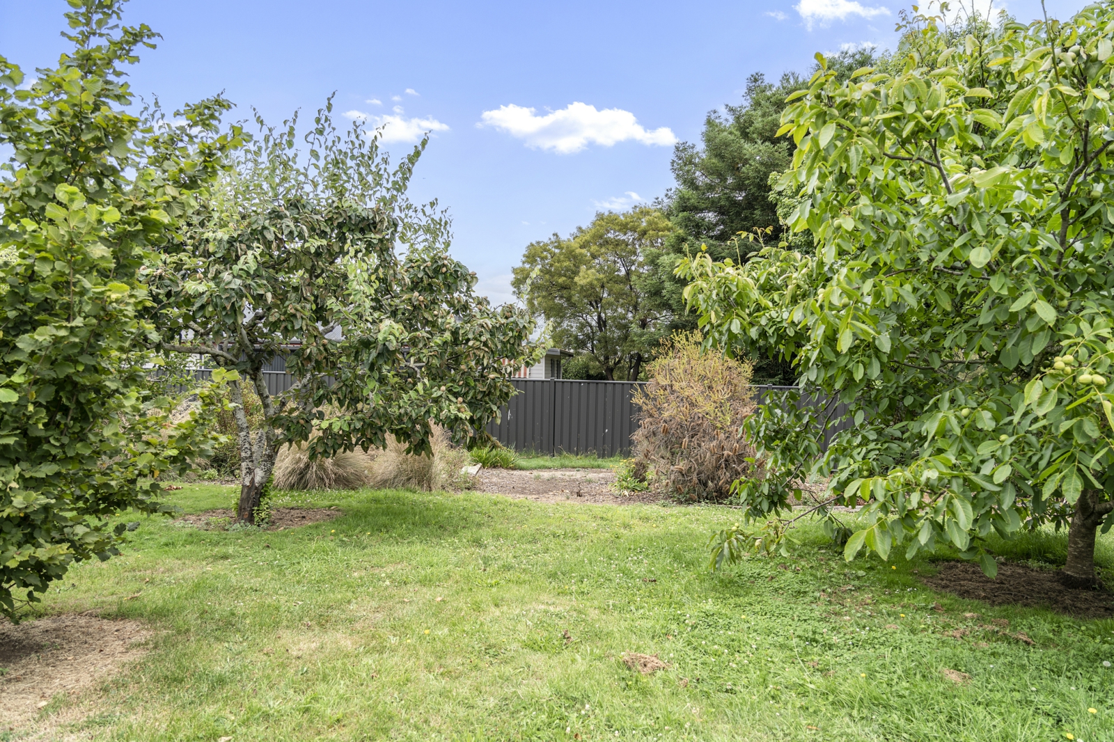 1-print-141 Dexter Street, Westbury-13.j