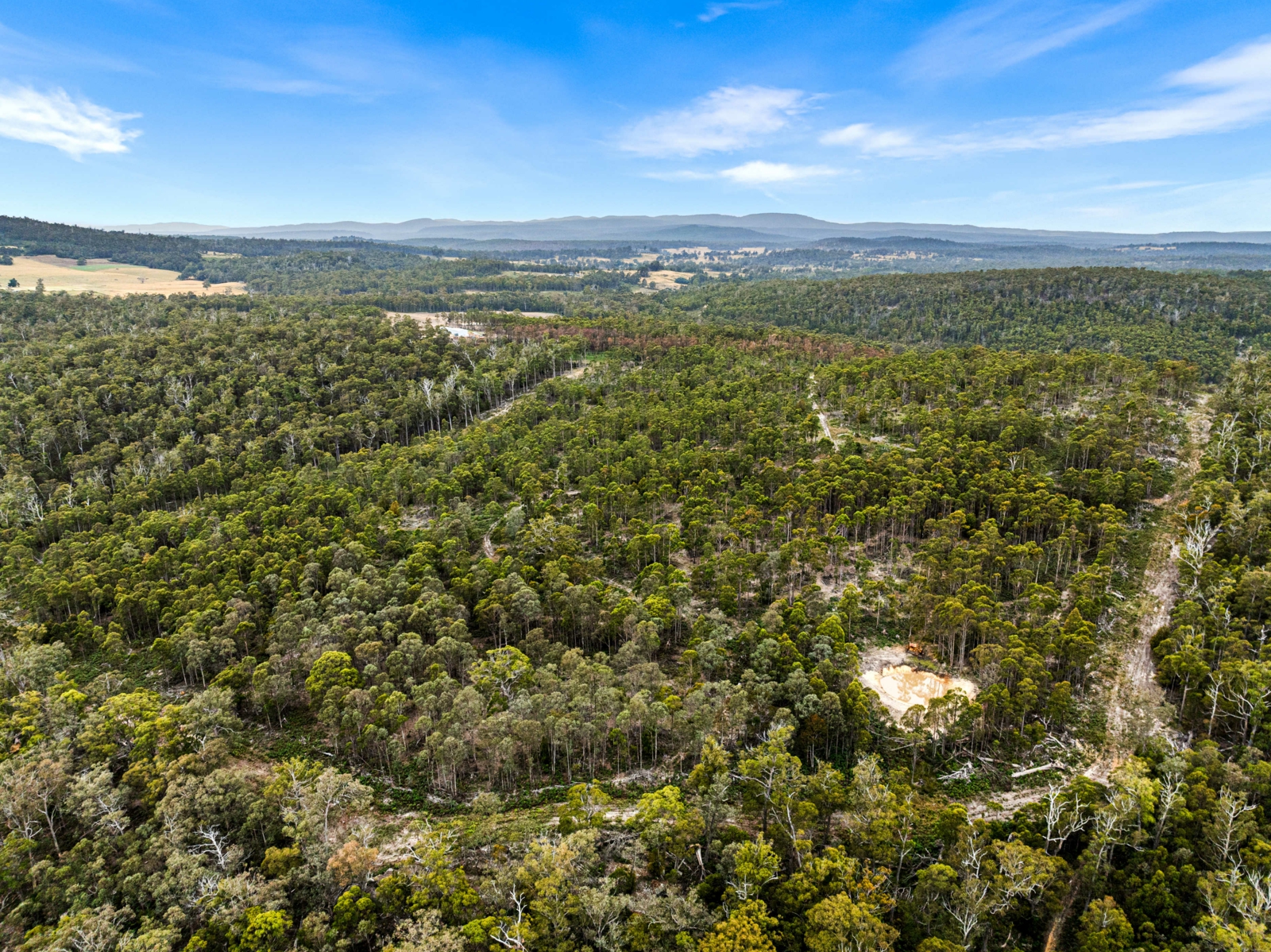 315 Levendale Back Road