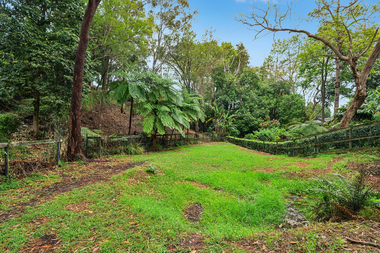 Yard 1