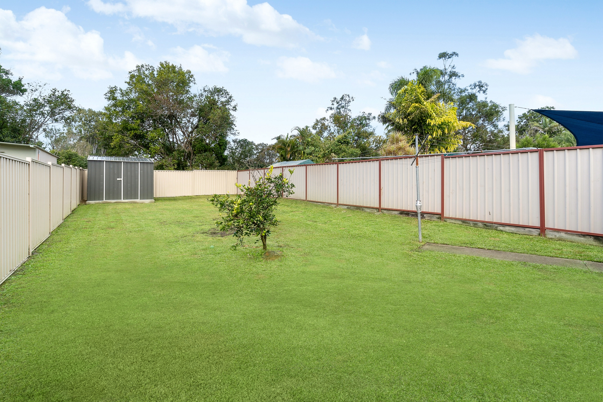 Rear Yard_v2