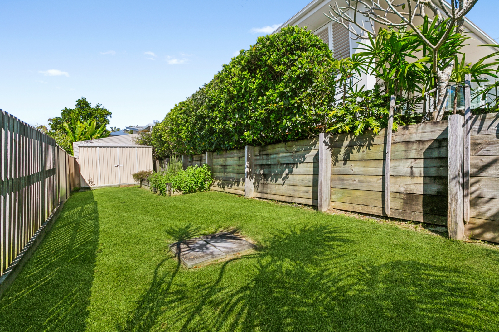 Backyard