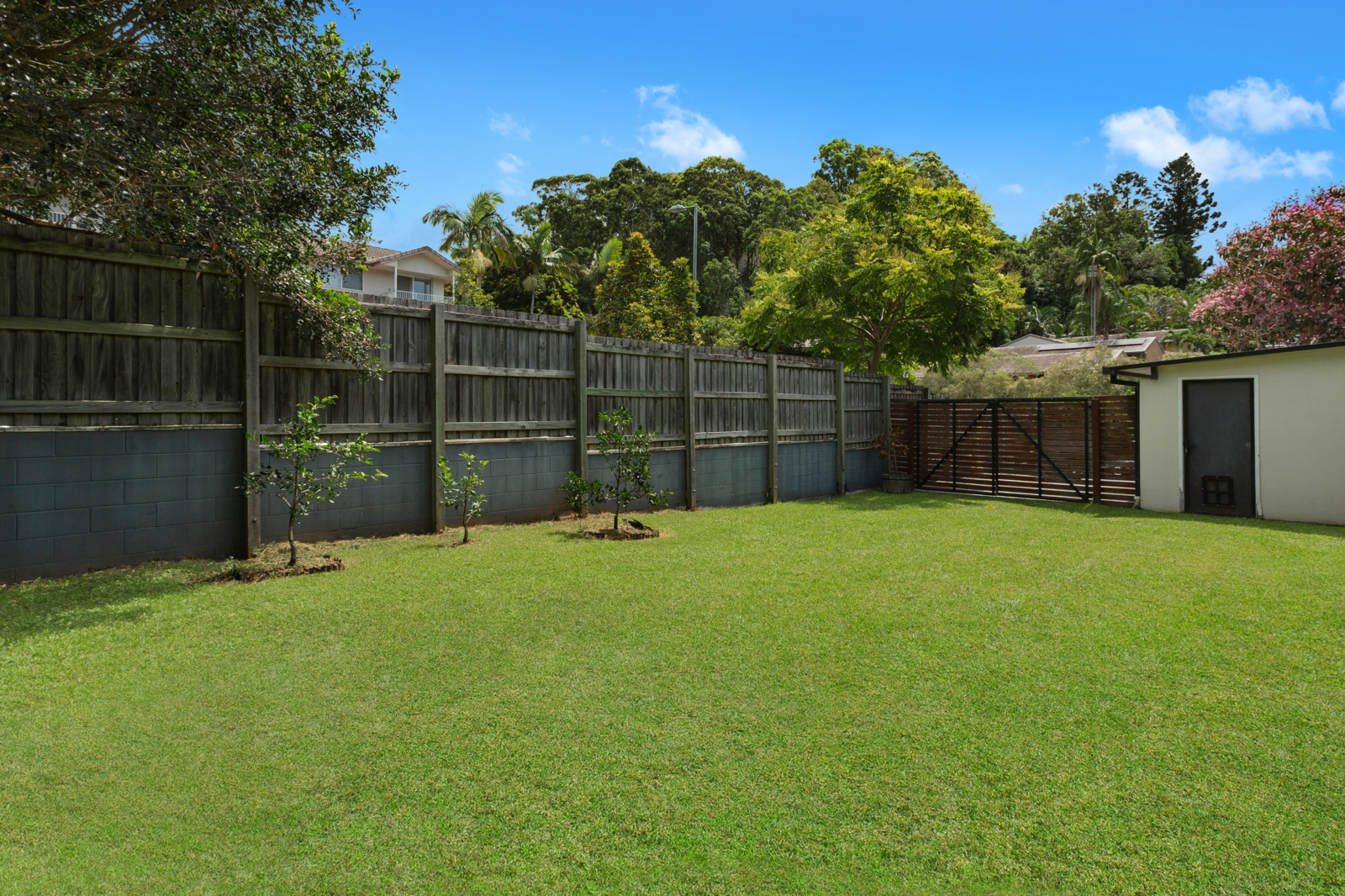 7. Backyard.jpg