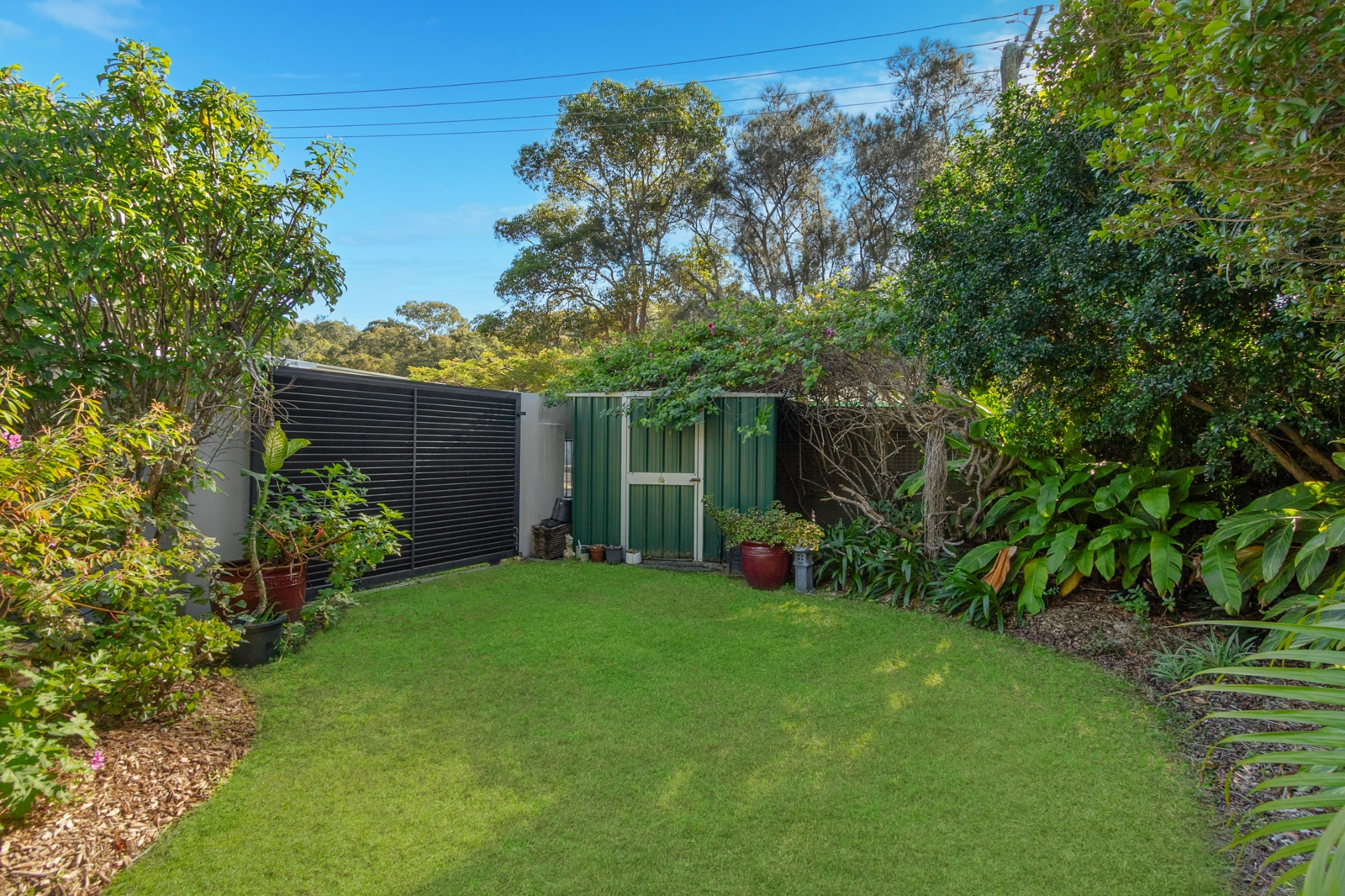 1. Backyard.jpg