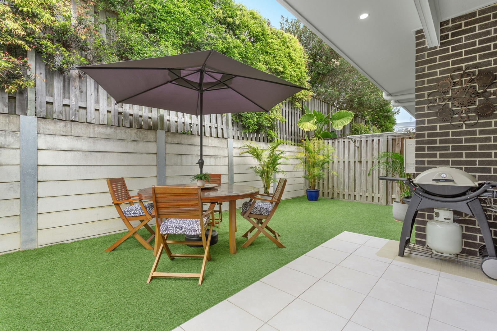 1. Backyard.jpg