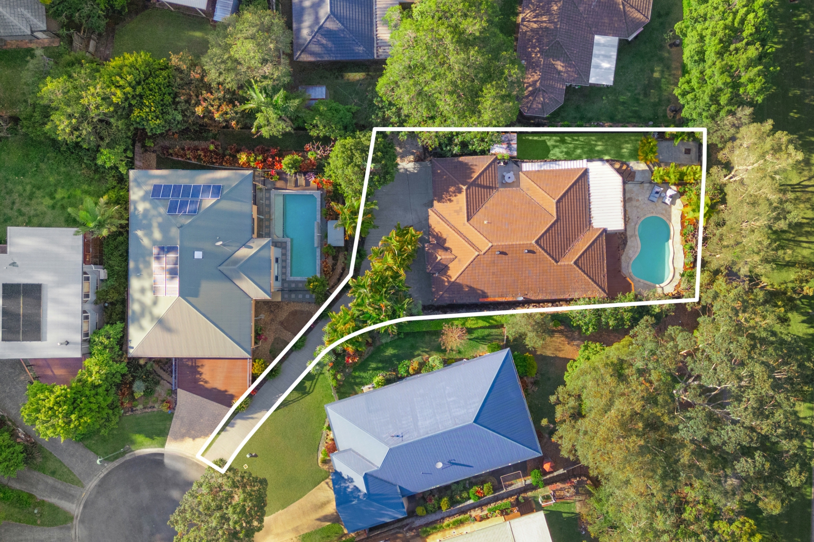 14. Birds Eye-line.jpg
