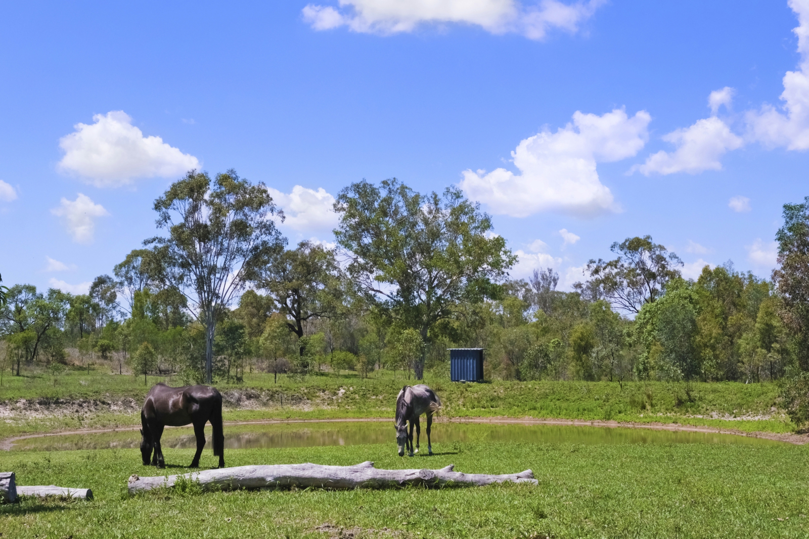 266 Duckpond Road,Moolboolaman